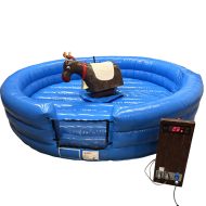 Rodeoporo